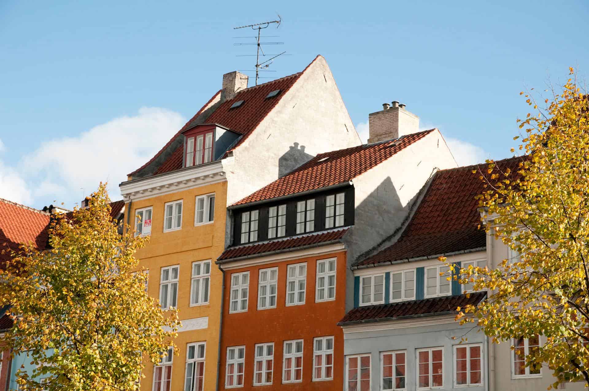 udenlandske håndværkere i danmark